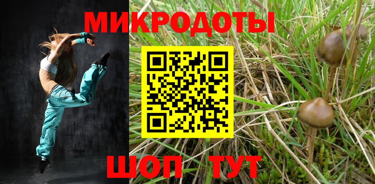 Галлюциногенные грибы MAGIC MUSHROOMS Боровичи