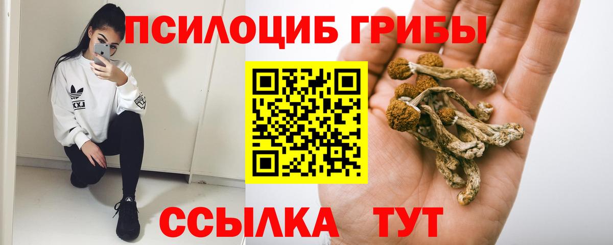 Боровичи  Псилоцибиновые грибы ЛСД  Вход с VPN 
